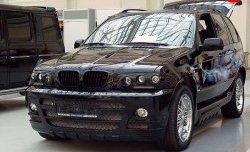 4 899 р. Комплект противотуманных фар в передний бампер Тарантул на BMW X5 E53 дорестайлинг (1999-2003)  с доставкой в г. Таганрог. Увеличить фотографию 2