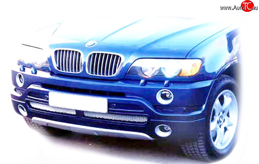 119 р. Накладка AS Concept на передний бампер BMW X5 E53 дорестайлинг (1999-2003) (Неокрашенная)  с доставкой в г. Таганрог