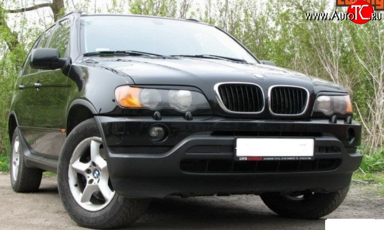 899 р. Реснички Sport BMW X5 E53 дорестайлинг (1999-2003)  с доставкой в г. Таганрог