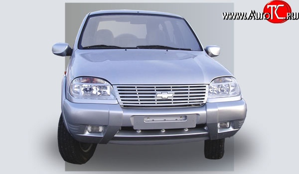 499 р. Накладки на зеркала Кураж 2 до 2005 года  Chevrolet Niva  2123 (2002-2008), Лада 2123 (Нива Шевроле) (2002-2008) (Неокрашенные)  с доставкой в г. Таганрог