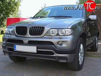 4 999 р. Накладка Sport Package на передний бампер (4.8is) BMW X5 E53 дорестайлинг (1999-2003) (Кузов: дорестайлинг)  с доставкой в г. Таганрог