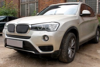 6 649 р. Защитная сетка решетки радиатора Стрелка 11 Премиум (алюминий) BMW X3 F25 рестайлинг (2014-2017) (Цвет: черный)  с доставкой в г. Таганрог. Увеличить фотографию 2