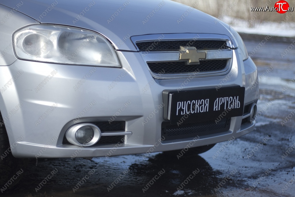 1 039 р. Защитная сетка решетки переднего бампера RA Chevrolet Aveo T250 седан рестайлинг (2006-2011)  с доставкой в г. Таганрог