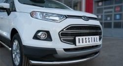 15 649 р. Одинарная защита переднего бампера диаметром 63 мм SLITKOFF  Ford EcoSport (2013-2019) дорестайлинг  с доставкой в г. Таганрог. Увеличить фотографию 3