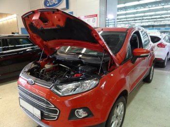 2 299 р. Упоры капота Russtal Ford EcoSport дорестайлинг (2013-2019)  с доставкой в г. Таганрог. Увеличить фотографию 1