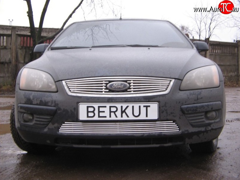 4 999 р. Декоративная вставка решетки радиатора Berkut Ford Focus 2  седан дорестайлинг (2004-2008)  с доставкой в г. Таганрог