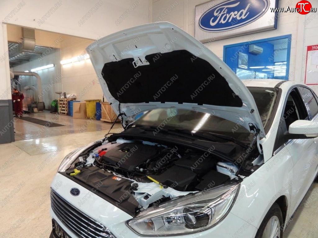 2 199 р. Газовые упоры капота Berkut Ford Focus 3 седан дорестайлинг (2011-2015)  с доставкой в г. Таганрог