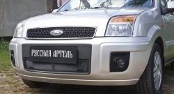 1 859 р. Защитная сетка решетки переднего бампера РА  Ford Fusion  1 (2005-2012)  рестайлинг, хэтчбэк  с доставкой в г. Таганрог. Увеличить фотографию 3