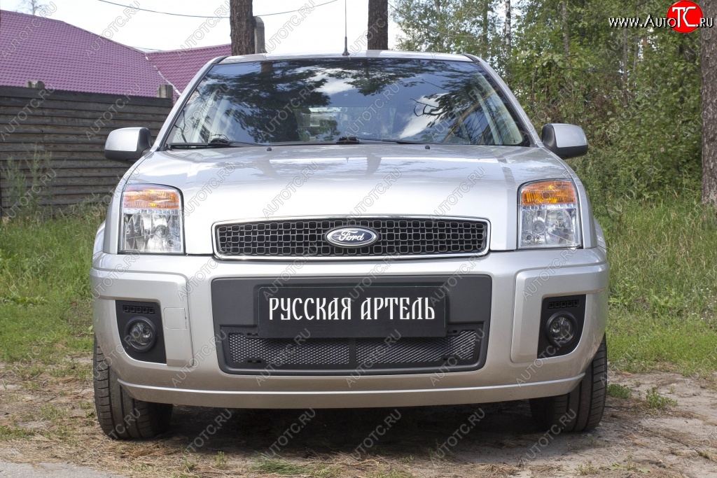 1 859 р. Защитная сетка решетки переднего бампера РА  Ford Fusion  1 (2005-2012)  рестайлинг, хэтчбэк  с доставкой в г. Таганрог