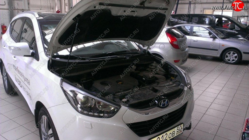 2 199 р. Газовые упоры капота Berkut Hyundai IX35 LM дорестайлинг (2009-2013)  с доставкой в г. Таганрог