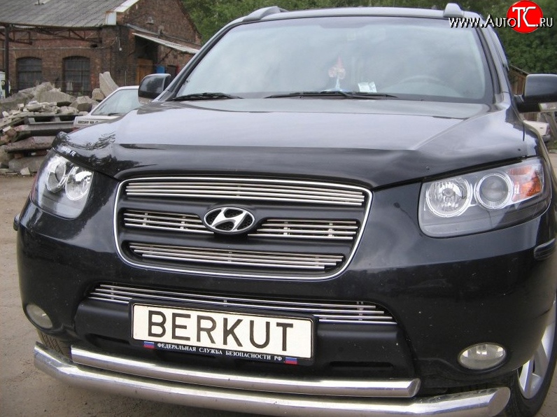 5 999 р. Декоративная вставка решетки радиатора Berkut Hyundai Santa Fe CM дорестайлинг (2006-2009)  с доставкой в г. Таганрог