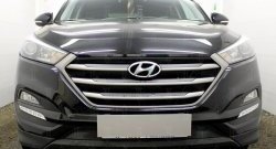 1 469 р. Защитная сетка на бампер Russtal (черная)  Hyundai Tucson  TL (2015-2018) дорестайлинг  с доставкой в г. Таганрог. Увеличить фотографию 1