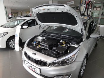 Упоры капота Russtal KIA Ceed 2 JD дорестайлинг, хэтчбэк (2012-2015)