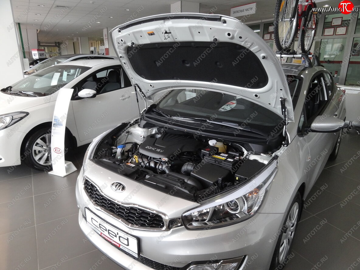 2 049 р. Упоры капота Russtal KIA Ceed 2 JD дорестайлинг, хэтчбэк (2012-2015)  с доставкой в г. Таганрог