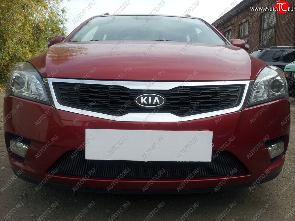 1 469 р. Защитная сетка на бампер Russtal (черная)  KIA Ceed  1 ED (2010-2012) рестайлинг универсал, рестайлинг, хэтчбэк 5 дв.  с доставкой в г. Таганрог