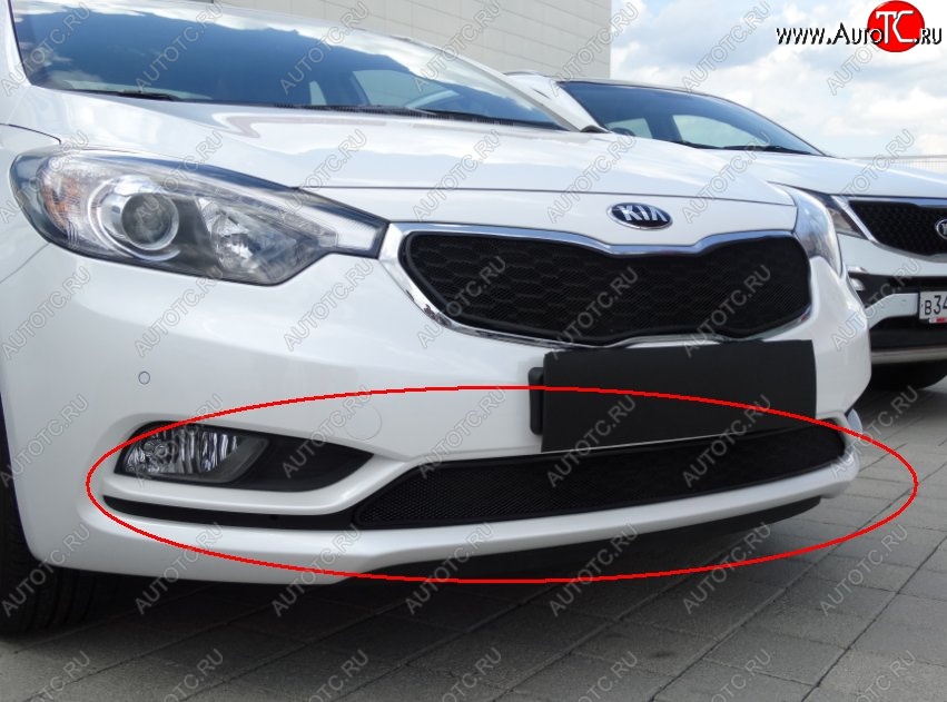 1 469 р. Нижняя защитная сетка на бампер Russtal (черная)  KIA Cerato  3 YD (2013-2016) дорестайлинг седан  с доставкой в г. Таганрог