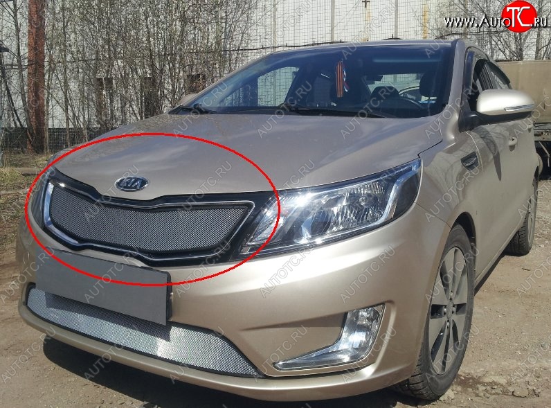 1 599 р. Сетка в решетку радиатора (к-я Premium) Russtal  KIA Rio  3 QB (2011-2015) дорестайлинг седан, дорестайлингхэтчбек5дв. (хром)  с доставкой в г. Таганрог