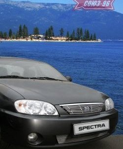 Декоративный элемент решётки радиатора Souz-96 (d10) KIA Spectra (2000-2009)