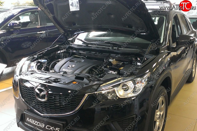 2 199 р. Газовые упоры капота Berkut Mazda CX-5 KE рестайлинг (2015-2017)  с доставкой в г. Таганрог