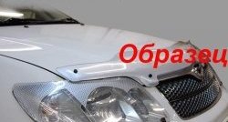 2 159 р. Защита фар CA-Plastik  Mitsubishi Pajero Sport  PB (2008-2013) дорестайлинг (Цвет: прозрачный)  с доставкой в г. Таганрог. Увеличить фотографию 6