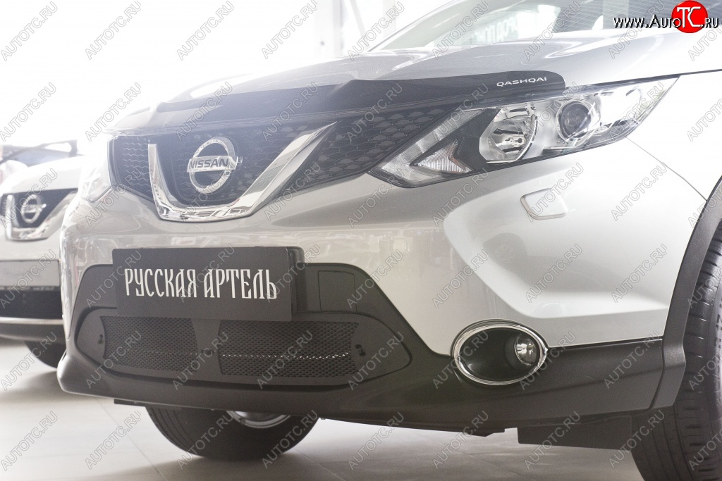 1 859 р. Защитная сетка решетки переднего бампера РА  Nissan Qashqai  2 (2017-2022) J11 рестайлинг  с доставкой в г. Таганрог