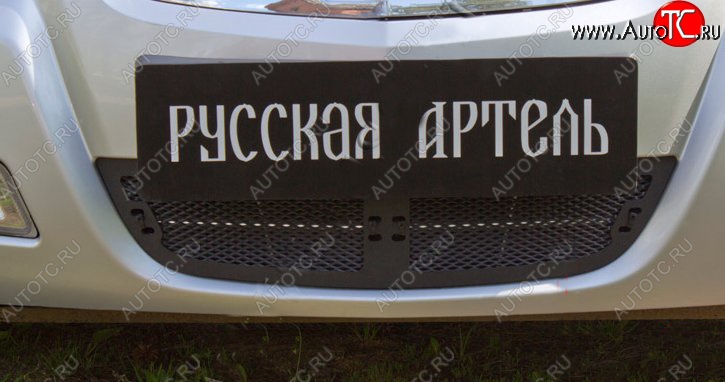 1 769 р. Защитная сетка решетки переднего бампера РА  Nissan Almera Classic  седан (2006-2013) B10  с доставкой в г. Таганрог