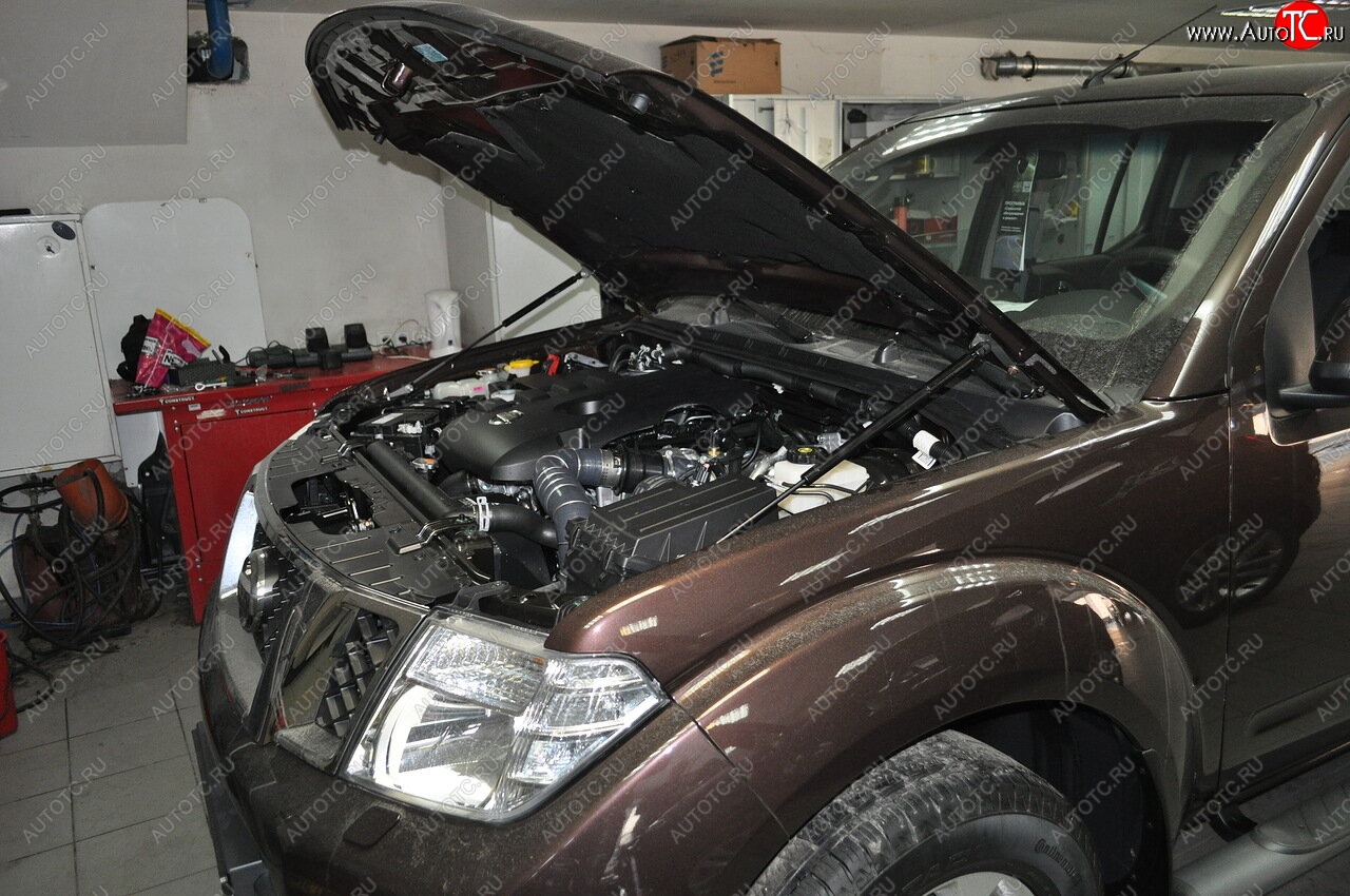 2 199 р. Упоры капота Russtal Nissan Pathfinder R51 рестайлинг (2009-2014)  с доставкой в г. Таганрог