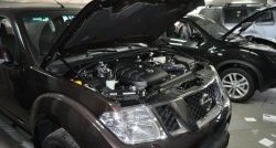 Газовые упоры капота Berkut Nissan Navara 2 D40 дорестайлинг (2004-2010)