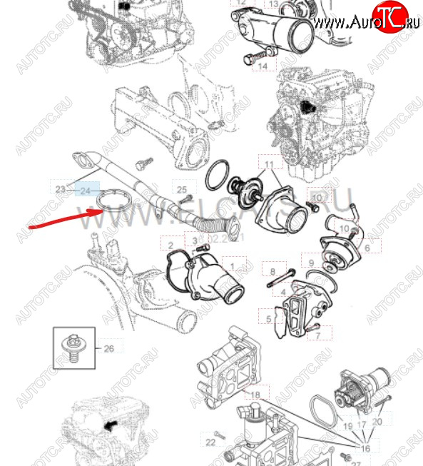 124 р. Уплотнительное кольцо маслопровода GM (дв. Z16XEP, к корпусу масляного фильтра)  Opel Astra ( H,  H GTC) (2004-2015) универсал, хэтчбек 3 дв. дорестайлинг, хэтчбек 5дв дорестайлинг, хэтчбек 3 дв. рестайлинг, универсал рестайлинг, хэтчбек 5дв рестайлинг  с доставкой в г. Таганрог