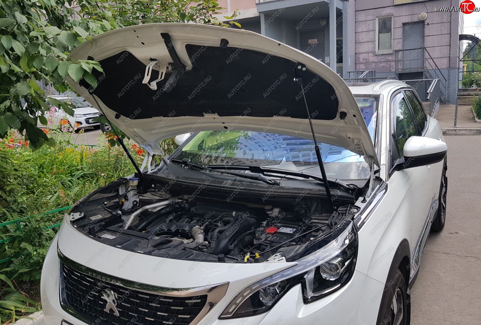 2 799 р. Упоры капота Russtal Peugeot 3008 2 (2016-2024)  с доставкой в г. Таганрог