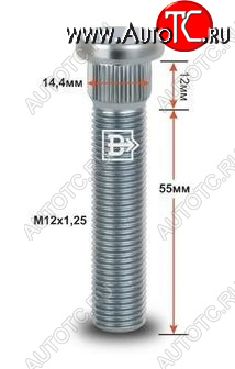 215 р. Забивная шпилька 55.0 мм ступицы колеса Вектор M12x1.25 x 55.0 Mercedes-Benz C-Class S202 дорестайлинг универсал (1992-1997)