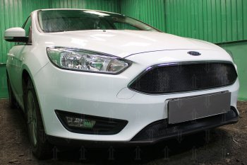 2 769 р. Защитная сетка в бампер (низ, ячейка 3х7 мм) Alfeco Стандарт Ford Focus 3 седан рестайлинг (2014-2019) (Чёрная)  с доставкой в г. Таганрог. Увеличить фотографию 2