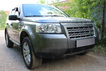 3 199 р. Защитная сетка в бампер (низ, ячейка 3х7 мм) Alfeco Стандарт Land Rover Freelander L359 дорестайлинг (2006-2010) (Чёрная)  с доставкой в г. Таганрог. Увеличить фотографию 2