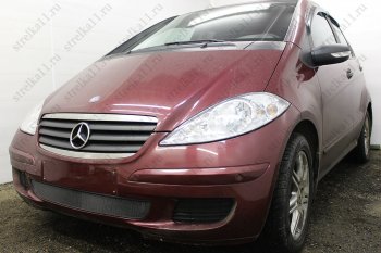 3 079 р. Защитная сетка в бампер (низ, ячейка 3х7 мм) Alfeco Стандарт  Mercedes-Benz A class  W169 (2005-2008) дорестайлинг, хэтчбэк 5 дв. (Чёрная)  с доставкой в г. Таганрог. Увеличить фотографию 2