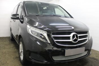 3 199 р. Защитная сетка в бампер (низ, ячейка 3х7 мм) Alfeco Стандарт Mercedes-Benz Vito W447 дорестайлинг (2015-2020) (Хром)  с доставкой в г. Таганрог. Увеличить фотографию 2