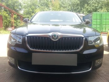 Защитная сетка в бампер (низ, ячейка 4х10 мм) Стрелка11 Премиум Skoda Superb B6 (3T) лифтбэк дорестайлинг (2008-2013) ()