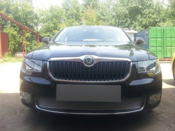 Защитная сетка в бампер (низ, ячейка 4х10 мм) Стрелка11 Премиум Skoda Superb B6 (3T) лифтбэк дорестайлинг (2008-2013) ()