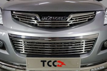 6 099 р. Нижняя декоративная вставка в бампер ТСС Тюнинг  Haval H5 (2020-2023) рестайлинг (d 12 мм)  с доставкой в г. Таганрог. Увеличить фотографию 1