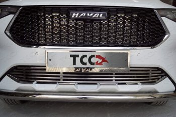 7 699 р. Нижняя декоративная вставка в бампер ТСС Тюнинг  Haval F7 (2018-2022)  дорестайлинг (d 12 мм)  с доставкой в г. Таганрог. Увеличить фотографию 1