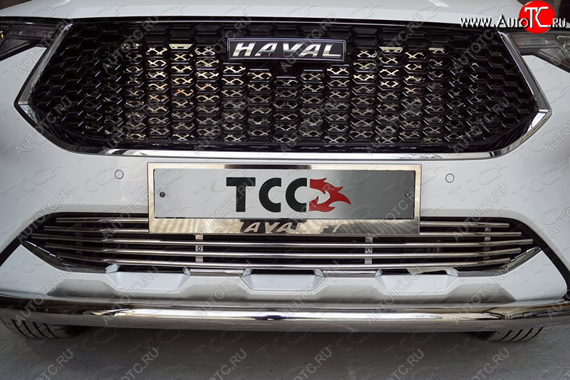 7 699 р. Нижняя декоративная вставка в бампер ТСС Тюнинг  Haval F7 (2018-2022)  дорестайлинг (d 12 мм)  с доставкой в г. Таганрог