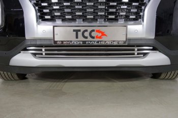 7 699 р. Нижняя декоративная вставка в бампер ТСС Тюнинг  Hyundai Palisade  LX2 (2018-2022) (d 16 мм )  с доставкой в г. Таганрог. Увеличить фотографию 1