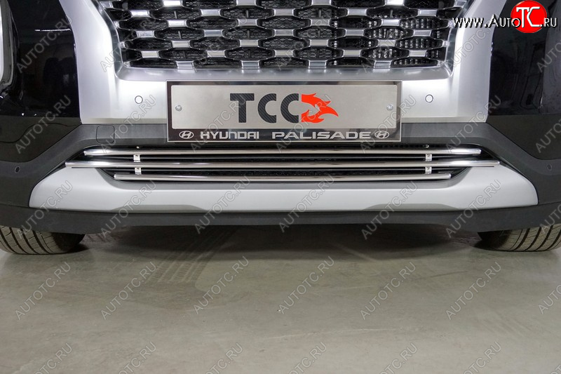 7 699 р. Нижняя декоративная вставка в бампер ТСС Тюнинг  Hyundai Palisade  LX2 (2018-2022) (d 16 мм )  с доставкой в г. Таганрог