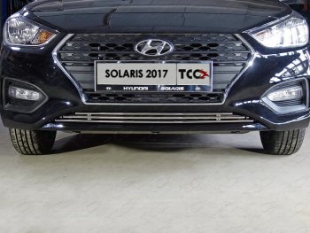 4 649 р. Нижняя декоративная вставка в бампер ТСС Тюнинг  Hyundai Solaris  HCR (2017-2020) седан дорестайлинг (d 12 мм)  с доставкой в г. Таганрог. Увеличить фотографию 1