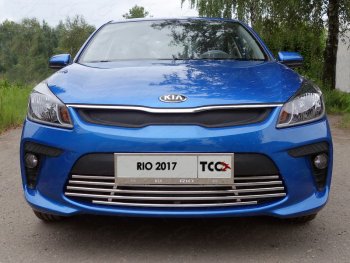 7 699 р. Нижняя декоративная вставка в бампер ТСС Тюнинг  KIA Rio  4 YB (2017-2020) дорестайлинг, хэтчбэк (d 16 мм)  с доставкой в г. Таганрог. Увеличить фотографию 1