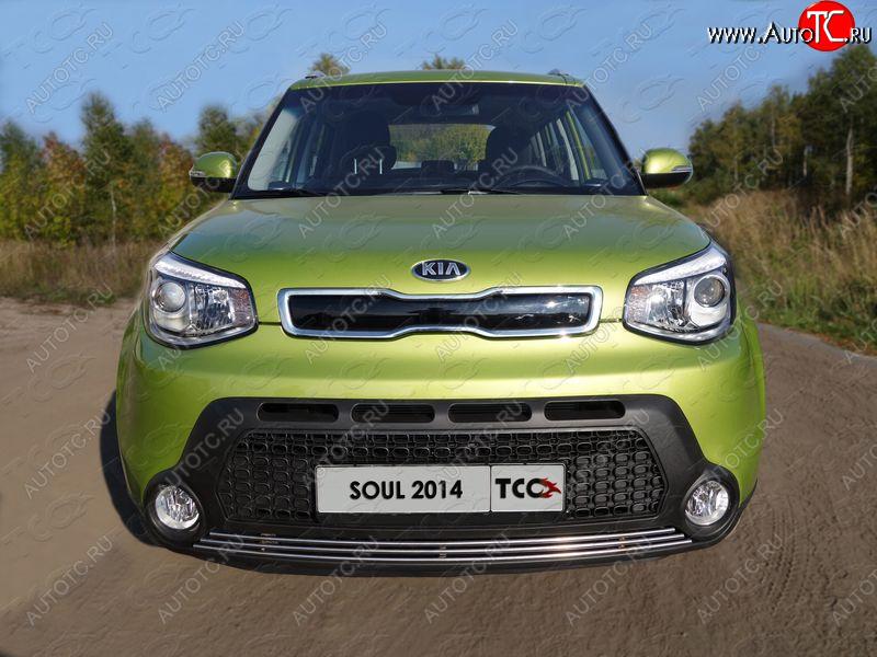 2 339 р. Нижняя декоративная вставка в бампер ТСС Тюнинг  KIA Soul  PS (2014-2016) дорестайлинг (d 12 мм)  с доставкой в г. Таганрог