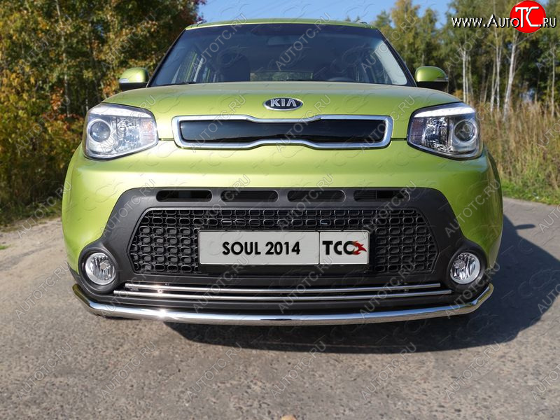 2 339 р. Нижняя декоративная вставка в бампер ТСС Тюнинг  KIA Soul  PS (2014-2016) дорестайлинг (d 16 мм)  с доставкой в г. Таганрог