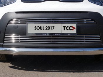 7 699 р. Нижняя декоративная вставка в бампер ТСС Тюнинг  KIA Soul  PS (2017-2019) рестайлинг (d 12 мм)  с доставкой в г. Таганрог. Увеличить фотографию 1