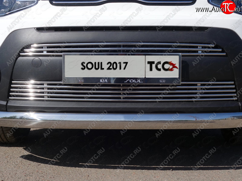 7 699 р. Нижняя декоративная вставка в бампер ТСС Тюнинг  KIA Soul  PS (2017-2019) рестайлинг (d 12 мм)  с доставкой в г. Таганрог