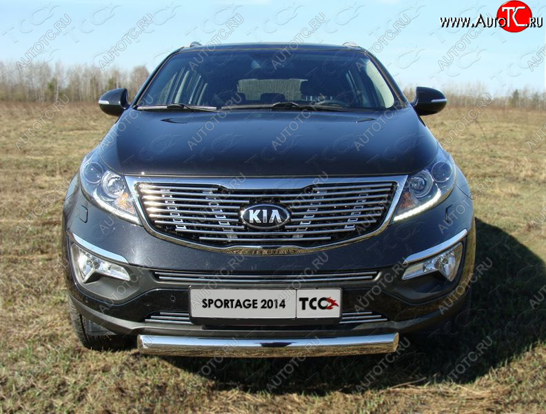 3 099 р. Средняя декоративная вставка в бампер ТСС Тюнинг  KIA Sportage  3 SL (2014-2016) рестайлинг (d 12 мм)  с доставкой в г. Таганрог