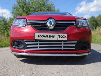 9 349 р. Нижняя декоративная вставка в бампер ТСС Тюнинг  Renault Logan  2 (2014-2018) дорестайлинг (d 12 мм)  с доставкой в г. Таганрог. Увеличить фотографию 1